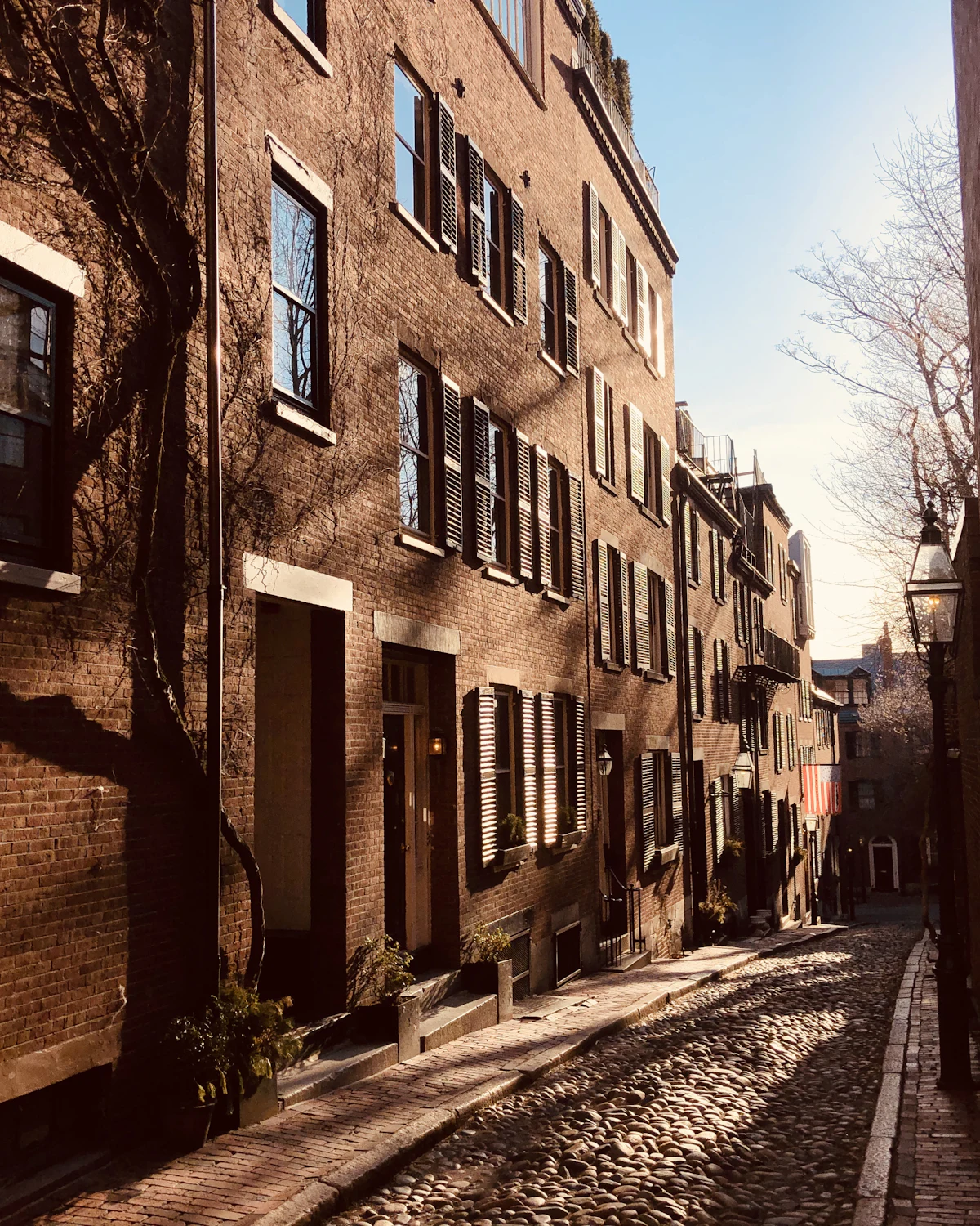 Brick row houses in Boston
